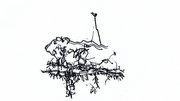 Image groan tectonics